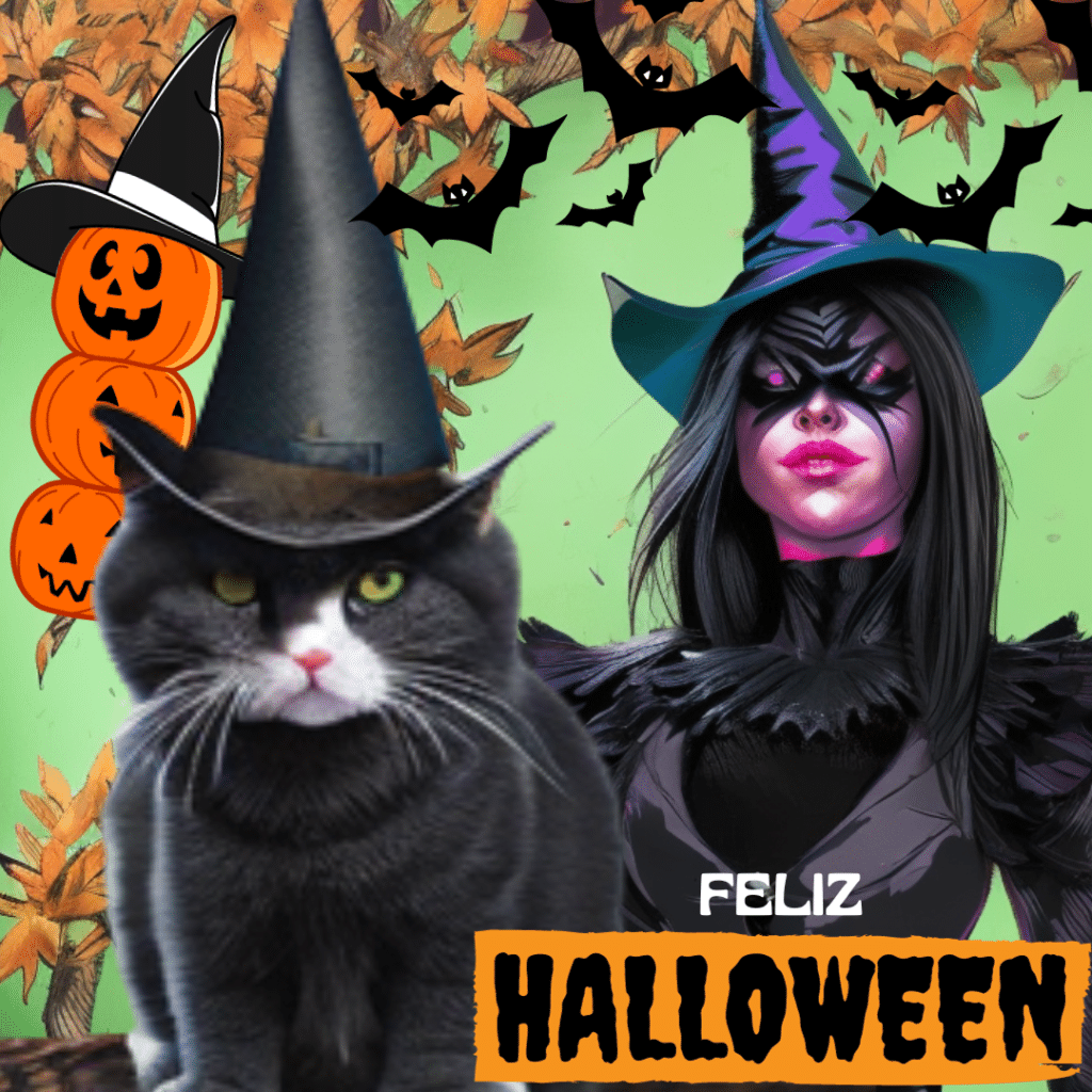 halloween e os gatos