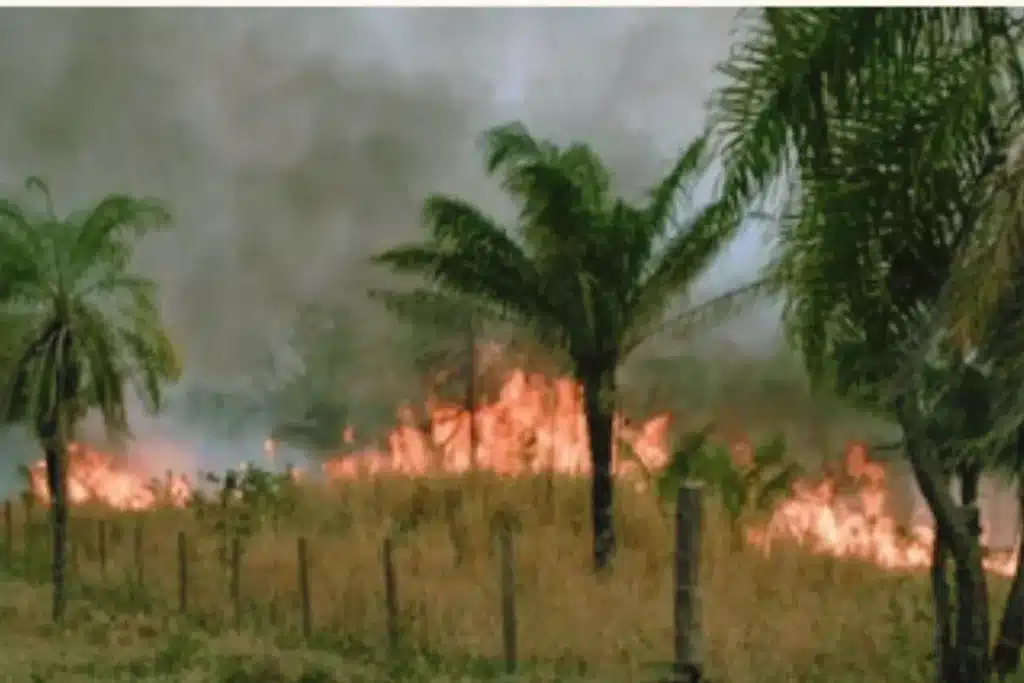 incêndio, incêndio no interior de são paulo, incêndio em são paulo