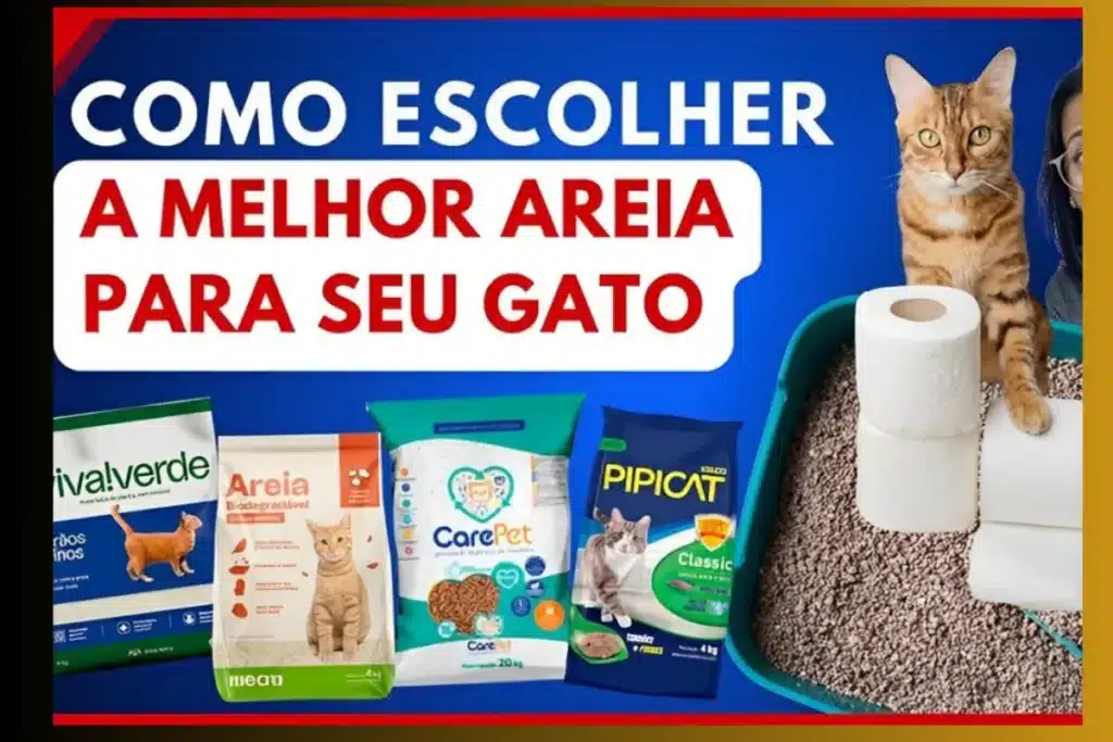 areia de gato, areia para gato, melhor areia de gato gatos